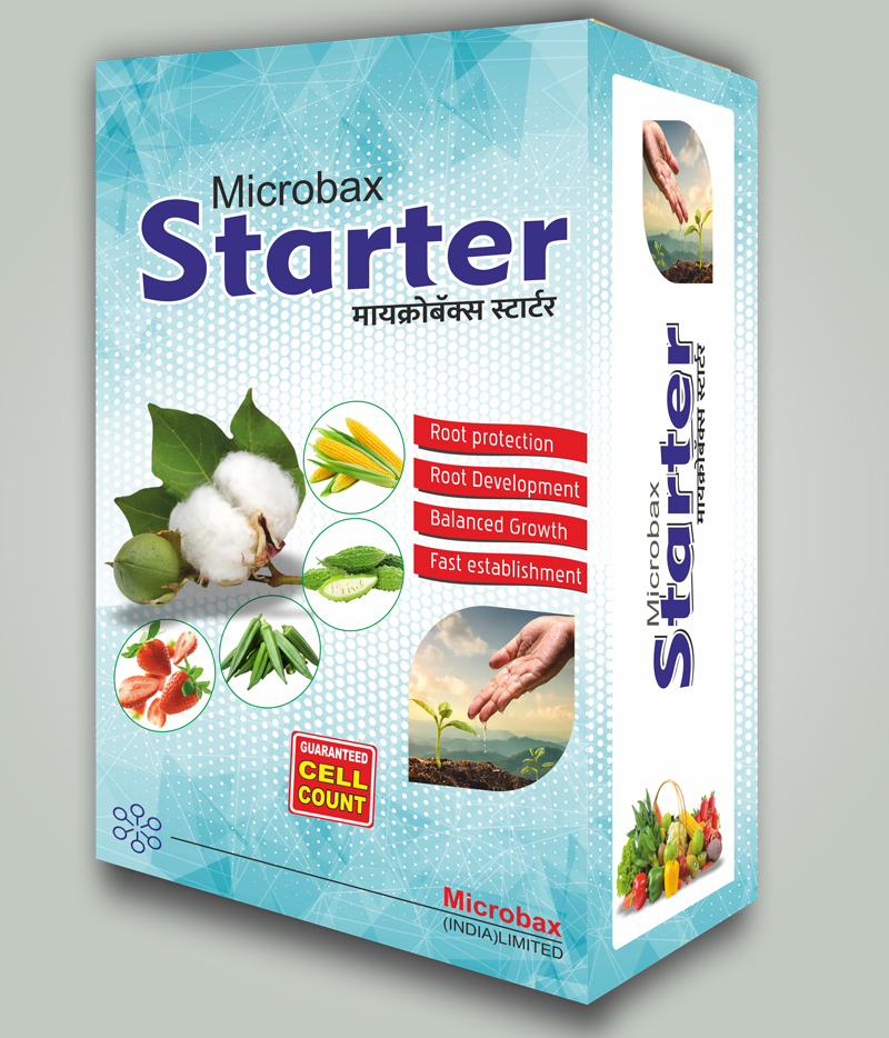 Business logo design with clean and minimal style