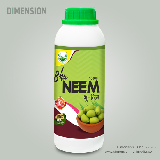 Folded brochure with professional graphics