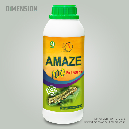 Event brochure with creative layout