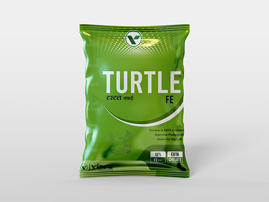 Full branding design including labels and logos