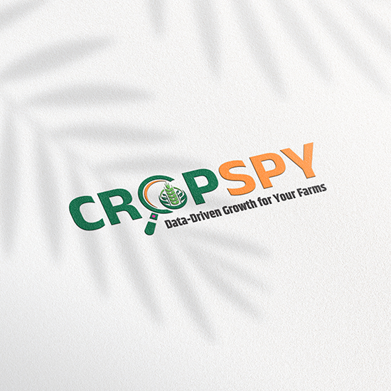 Labels with QR codes for smart packaging